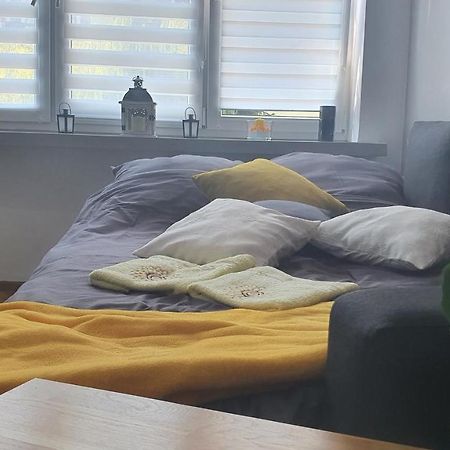 Apartament Park Saski Sandomierz Εξωτερικό φωτογραφία
