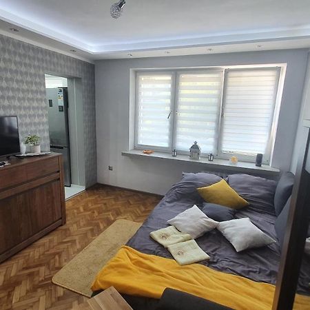 Apartament Park Saski Sandomierz Εξωτερικό φωτογραφία