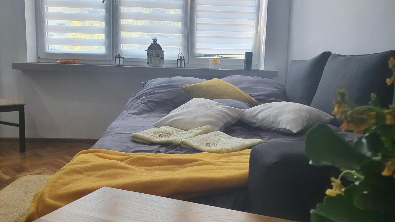 Apartament Park Saski Sandomierz Εξωτερικό φωτογραφία