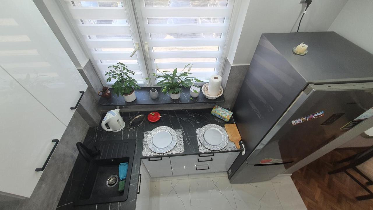 Apartament Park Saski Sandomierz Εξωτερικό φωτογραφία